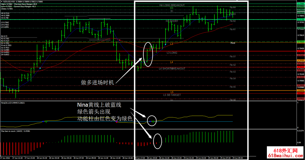 CATFX50 Forex Trading System㽻