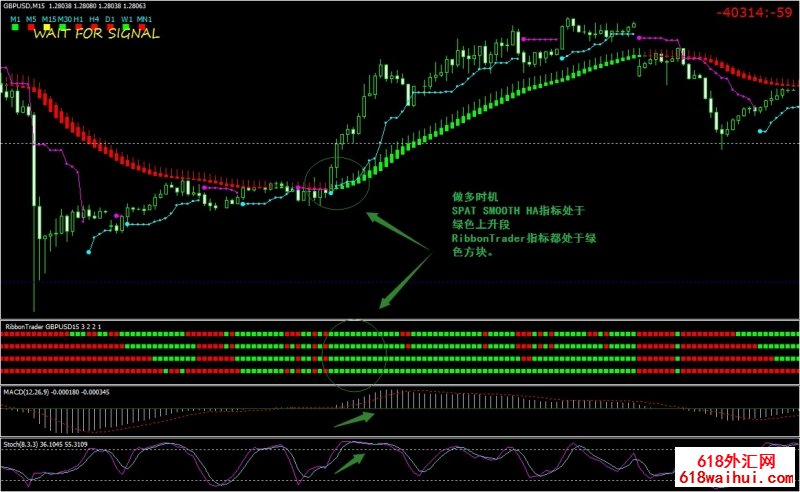 Ribbon Trader MACD and Stochastic㽻