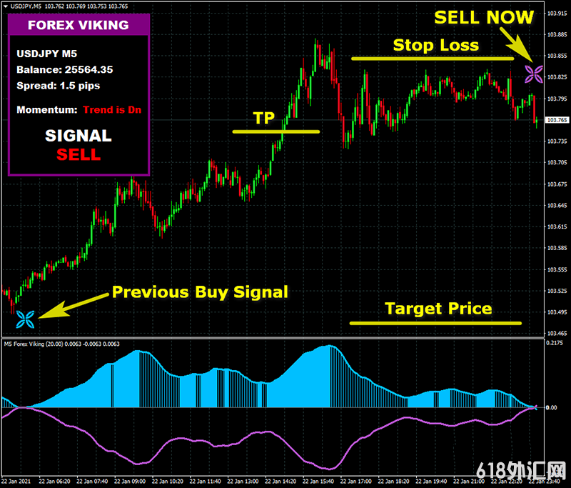 FOREX VIKING PRO㽻ϵͳһûδ