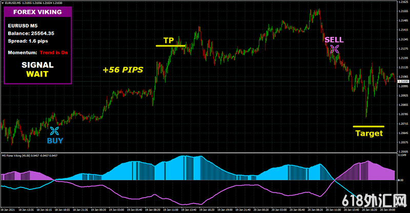 FOREX VIKING PRO㽻ϵͳһûδ