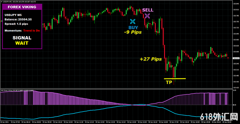 FOREX VIKING PRO㽻ϵͳһûδ