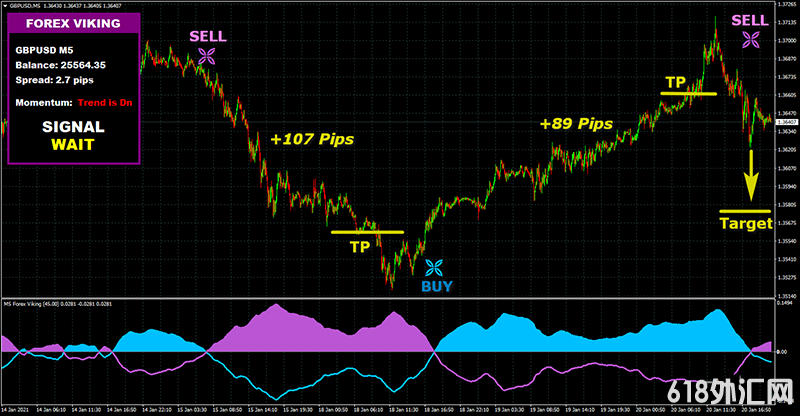 FOREX VIKING PRO㽻ϵͳһûδ