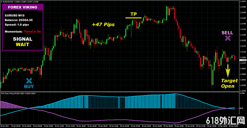 FOREX VIKING PRO㽻ϵͳһûδ