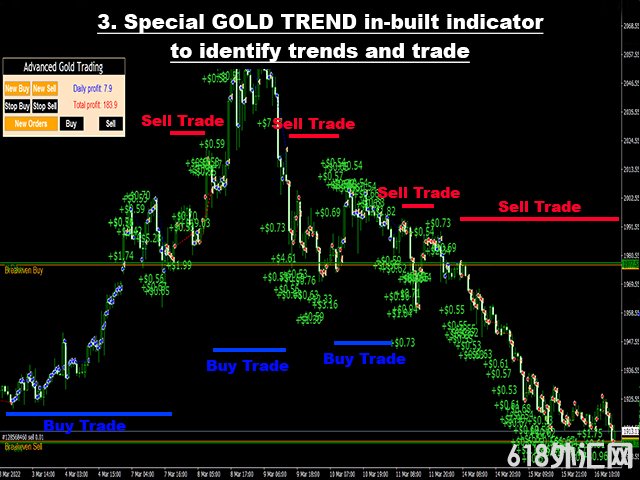 Advanced_Gold_Trading_V3.3߼ƽEA