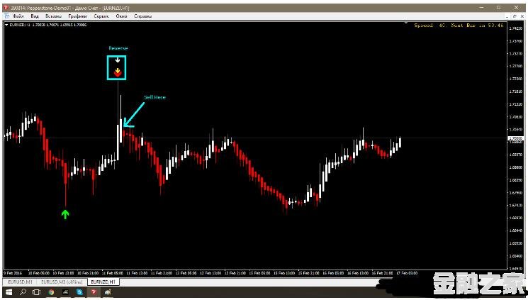 MT4 illumination signals 㽻ϵͳ