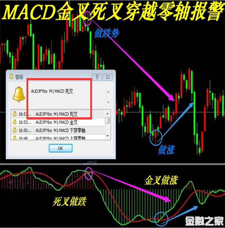 MACD(ᾯ)MT4ָƽԭͷģ