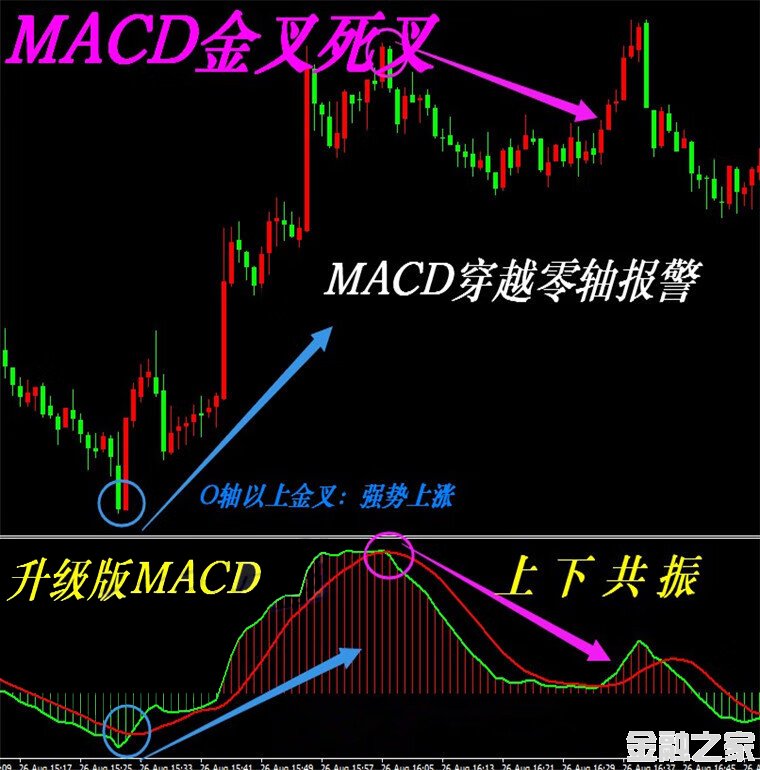 MACD(ᾯ)MT4ָƽԭͷģ